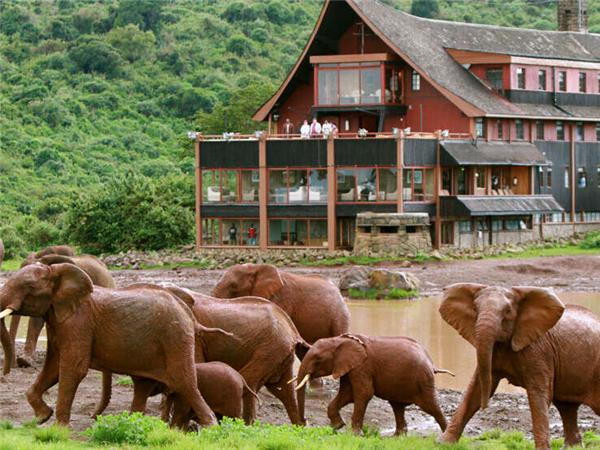 Highlights of Kenya small group holiday