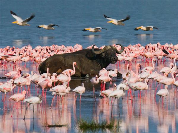 Highlights of Kenya small group holiday