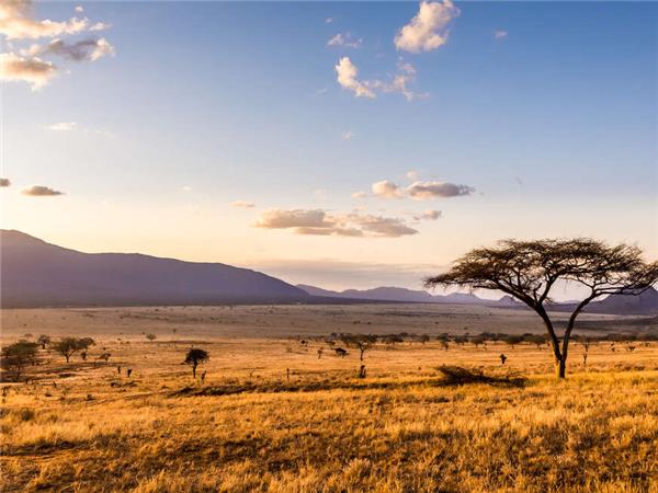 Highlights of Kenya small group holiday