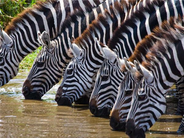 Highlights of Kenya small group holiday