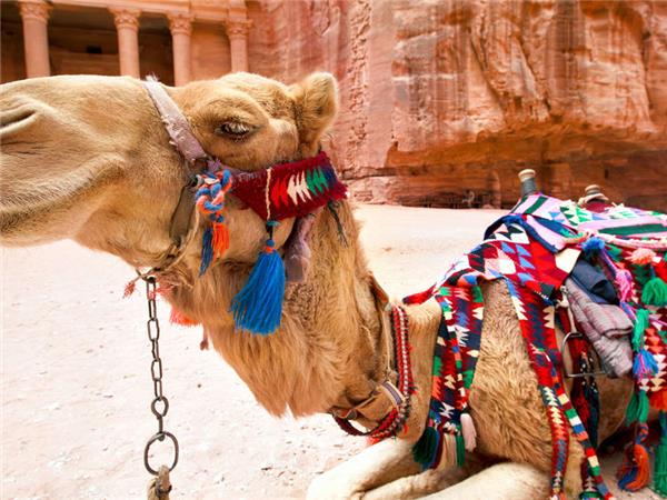 Walking holiday in Jordan