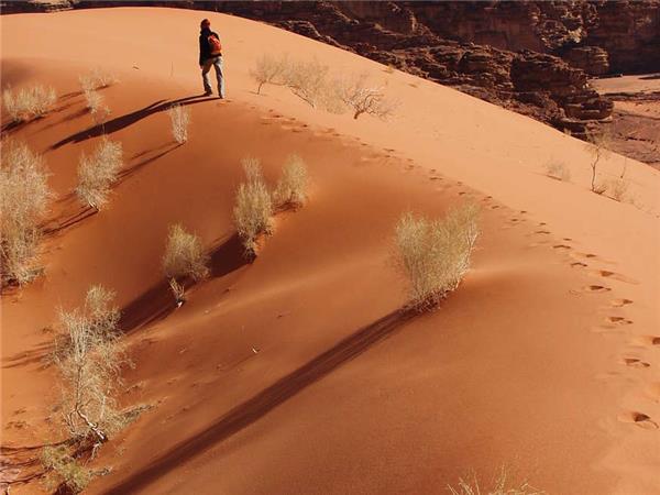 Walking holiday in Jordan