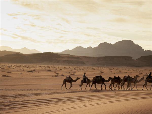 Walking holiday in Jordan