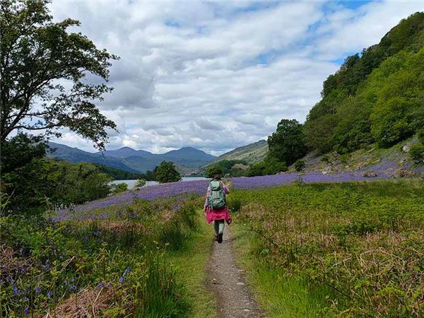 West Highland Way small group walking holiday
