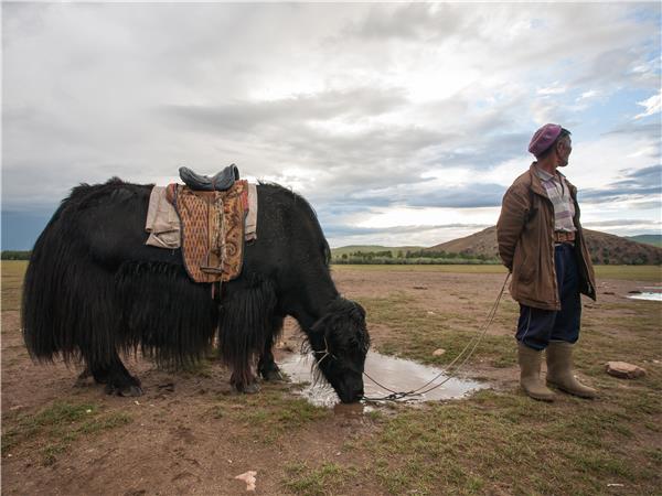Mongolia cycling holiday