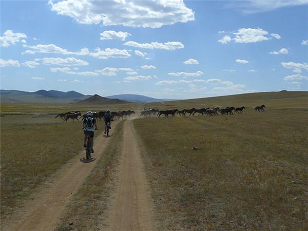 Mongolia cycling holiday