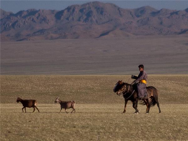 Mongolia cycling holiday