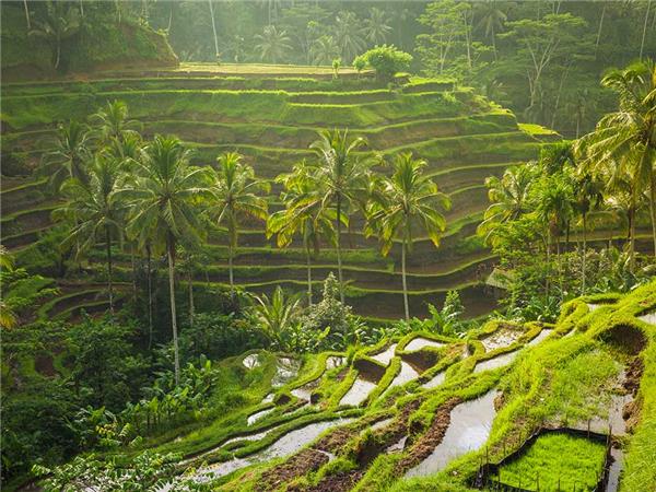 Bali adventure holiday