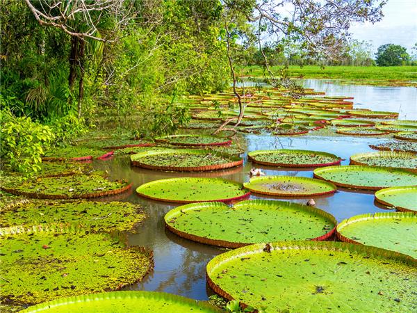 Peru and Inca trail small group holiday