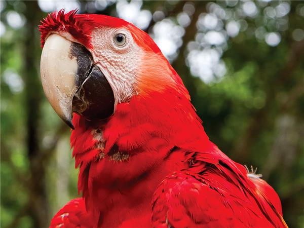 Peru and Inca trail small group holiday