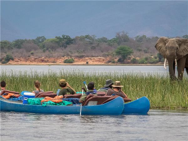 Zambezi canoe safari, Zambia