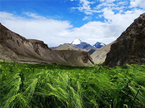 Trekking holiday in Ladakh, The Markha Valley trek