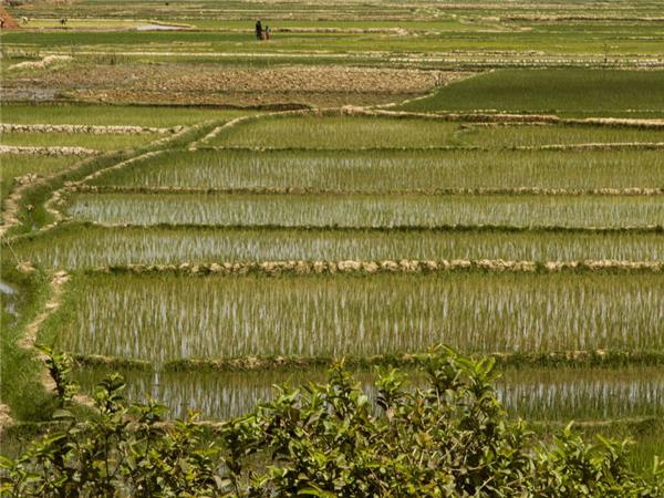 Madagascar holidays, The lost continent