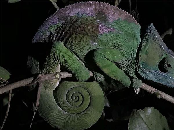 Madagascar holidays, The lost continent