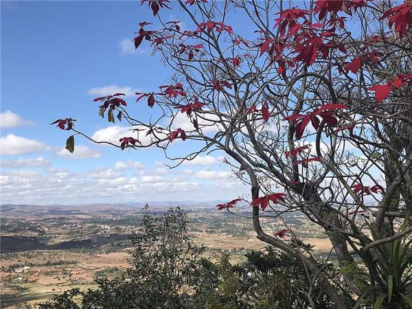 Madagascar holidays, The lost continent