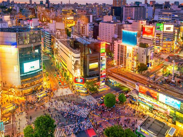 Japan in depth, footsteps of the Shogun