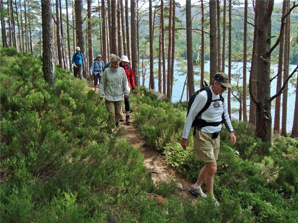 Scottish Highlands wildlife holiday