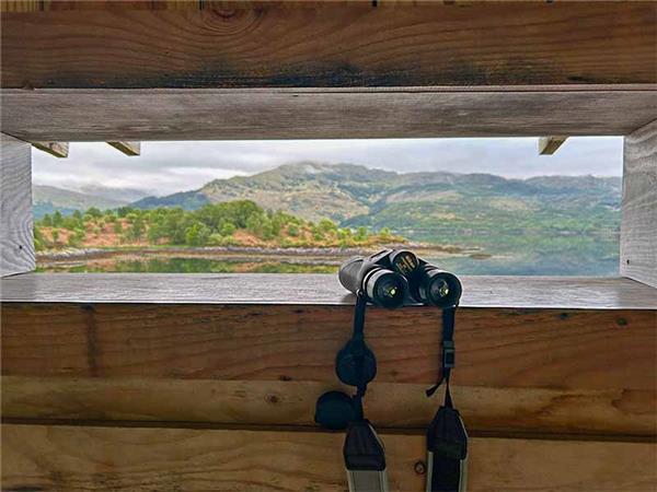 Scottish Highlands wildlife holiday 