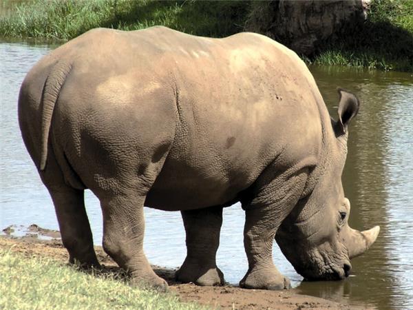 Johannesburg to Victoria Falls tours in Southern Africa