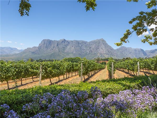 Kruger, coast and cape holiday in Southern Africa