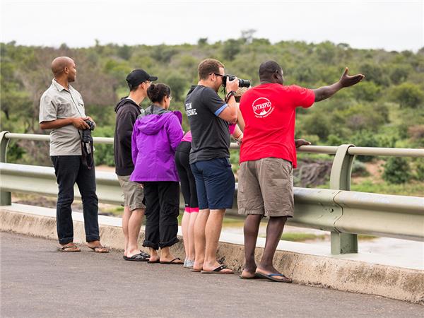 Kruger, coast and cape holiday in Southern Africa