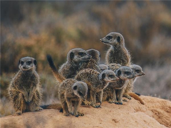 Kruger, coast and cape holiday in Southern Africa