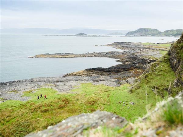 Mull, Staffa and Iona wildlife tour in Scotland