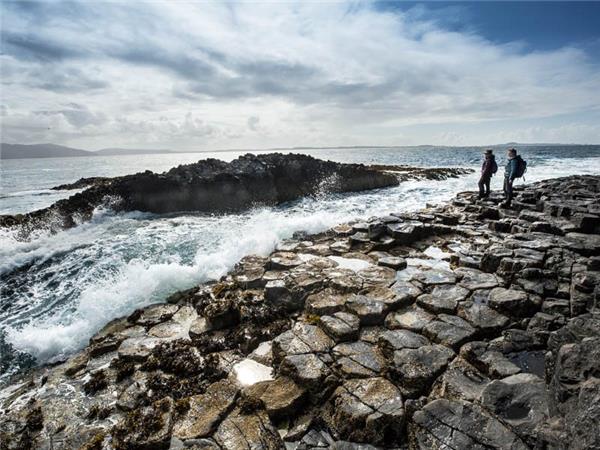 Mull, Staffa and Iona wildlife tour in Scotland