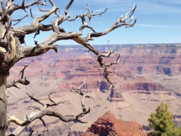 West Coast tours in America
