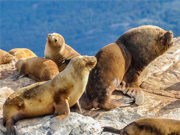 Adventure holiday in Patagonia