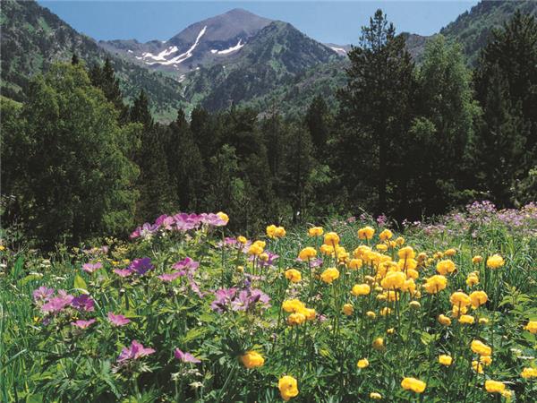 Pyrenees walking holiday in Andorra