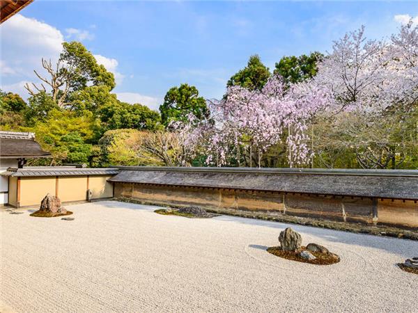 Japan  small group holiday with added comfort