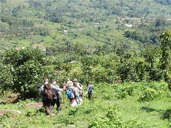 Rwanda & Uganda holiday
