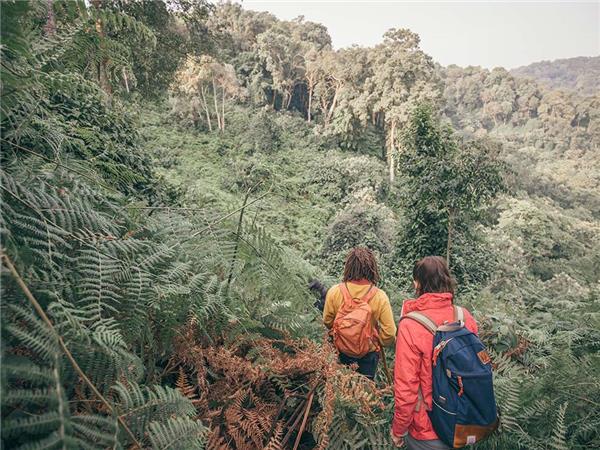 Rwanda & Uganda holiday, with added comfort