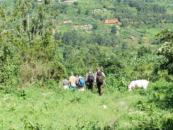 Rwanda & Uganda holiday, with added comfort