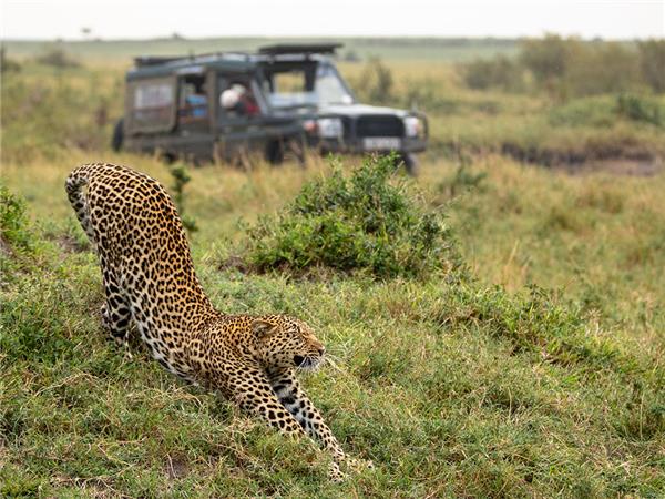 Premium Kenya small group holiday
