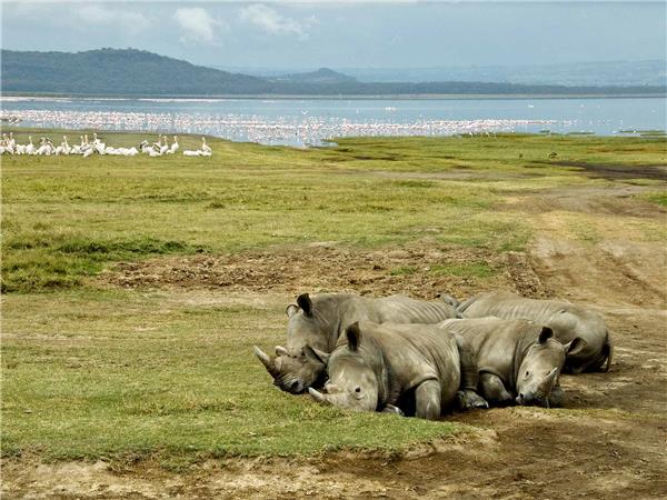 Premium Kenya small group holiday