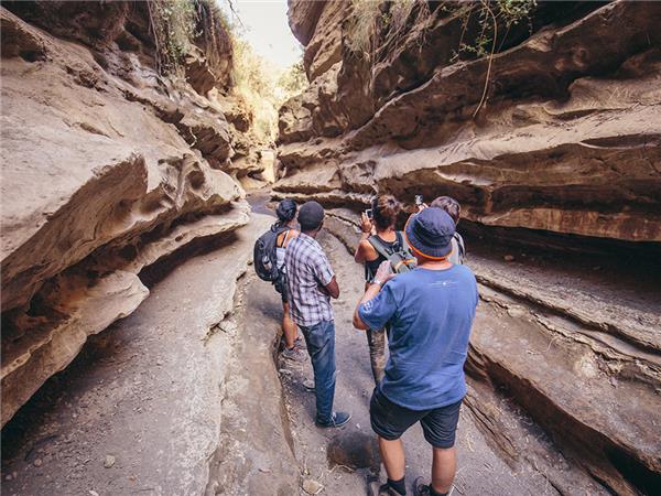Kenya safari tour