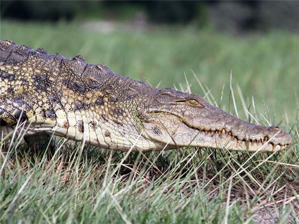 Southern Africa holiday