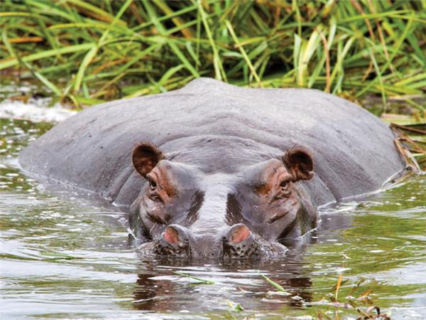 Southern Africa holiday