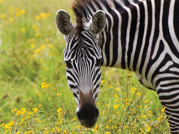 Southern Africa holiday