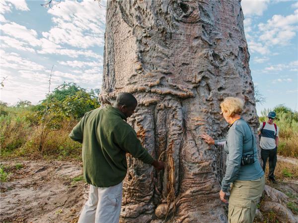 Southern Africa holiday