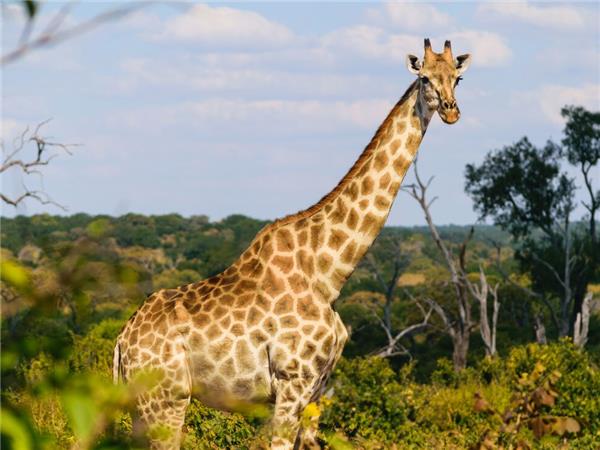 Southern Africa holiday
