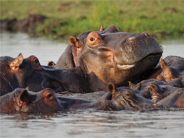 Southern Africa holiday