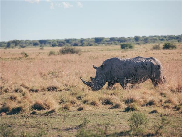 Southern Africa holiday