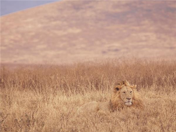 The Masai Heartlands safari