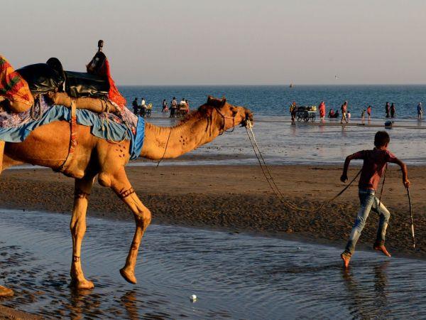 Gujarat holiday and the Rann of Kutch, India