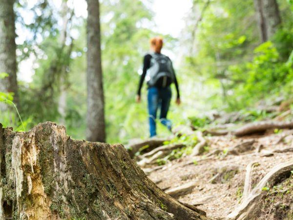 Montenegro walking holiday
