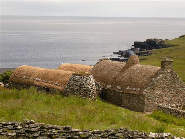 Shetland Isles wildlife holiday