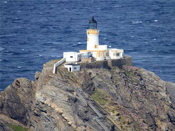 Shetland Isles wildlife holiday